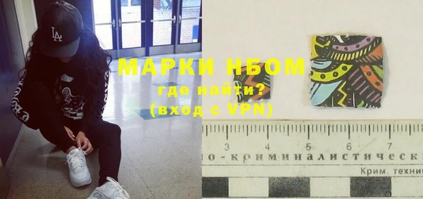 индика Красноперекопск
