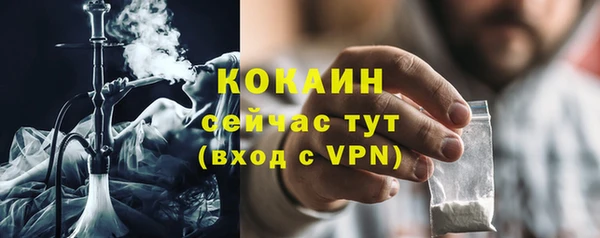 шишки Краснослободск