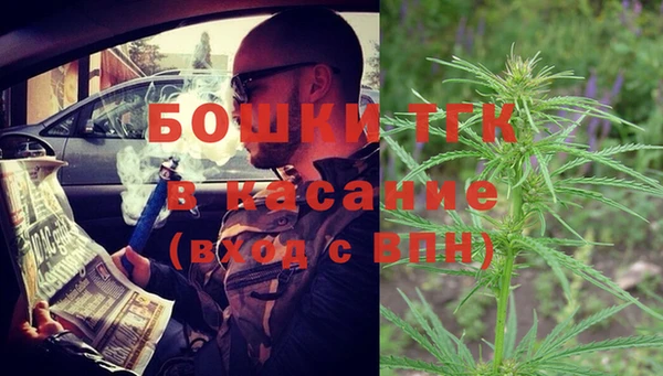 шишки Краснослободск
