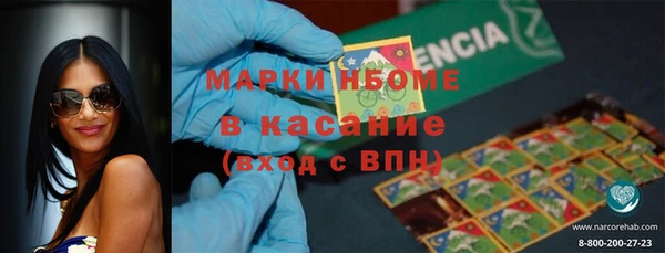 индика Красноперекопск