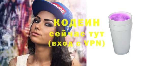 шишки Краснослободск