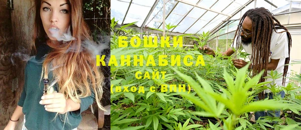 шишки Краснослободск