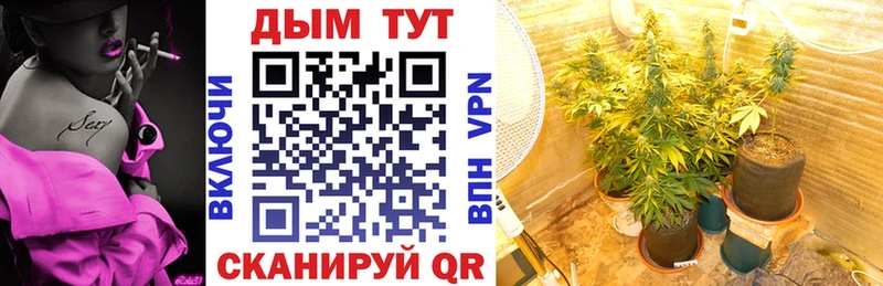 Купить закладки  Отрадный  Бошки марихуана VHQ 